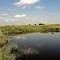 Tom Lawin Wildlife Area