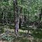 Huettner Preserve