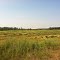 Tom Lawin Wildlife Area