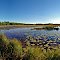Coyote Creek Impoundment