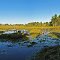 Coyote Creek Impoundment