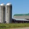 Country Farm with Silos