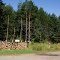 Firewood For Sale