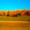 Fall Foliage Near Tomahawk