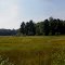 Campine Lake