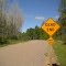 Dead end sign along Forest Lane