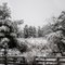 Winter in Floyd