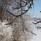 Ice Storm, Howards Grove WI by Irmie Zerger