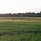 Opposite Sheboygan County Memorial Airport