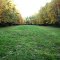 The Little Field