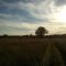 Fall Sunset