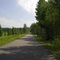 McCabe Rd