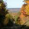 fall road