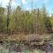 Dorothy Lake State Natural Area