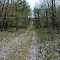 Chippewa County Forest Trail