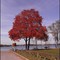 Browns Lake - Burlington Wisconsin - Autumn Colors