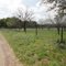 Bluebonnet fields of the Willow City Loop