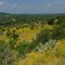 Willow City Loop, copyright 2010 by John C Karjanis