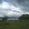Turkey vulture sailing upon the gathering storm.