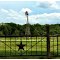 Texas Lone Star