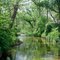 Gaitlin Creek