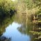 Huron River viewed from Rickett Road