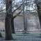 Picnic Area