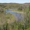 From the Manistee River Trail