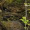 Cedar Creek Ravine