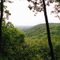Manistee National Forest