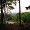 Manistee River Trail