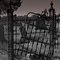 Danville Cemetery