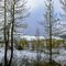 Spring in Alaska