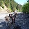 Dog sledging in Seward
