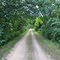 Great River State Trail, La Crosse Co., WI