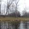 Pine Grove County Park