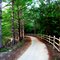 Denman Estate Park - Walking Trail