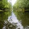 On the Bayou