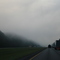 Fog