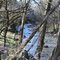 Spring Creek on Wilhoite Mill Trail, Henry Horton State Park