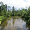 Wabasis Creek on M-91