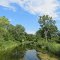 A canal between Bearslee and Perch Lakes (Wabasis Creek, Oakfield, MI)