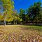 Autumn's leaves
