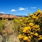 Near Ghost Ranch off Hwy 84