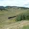 Narrow Gauge Railway