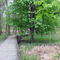 Maumee Bay State Park Trail