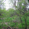 Maumee Bay State Park Trail