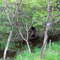 Maumee Bay State Park Trail