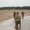 Beachgoers (06-15-09)