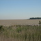 Maumee Bay